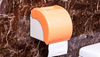 Home Small Toilet Paper Holder with plastic KW-891