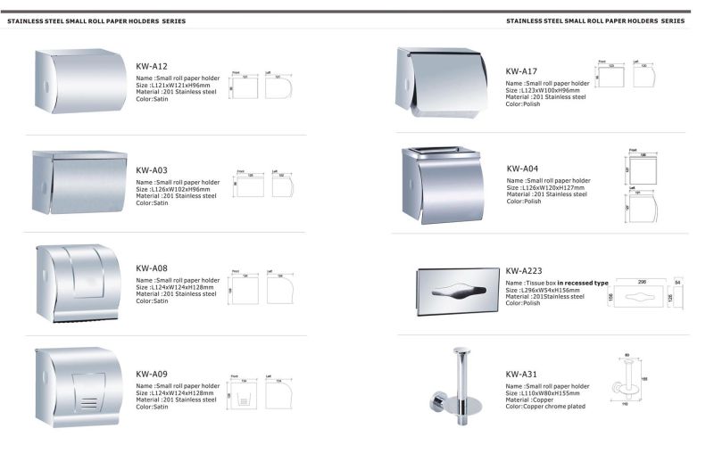 Stainless Steel Paper Towel Dispenser (KW-A42)