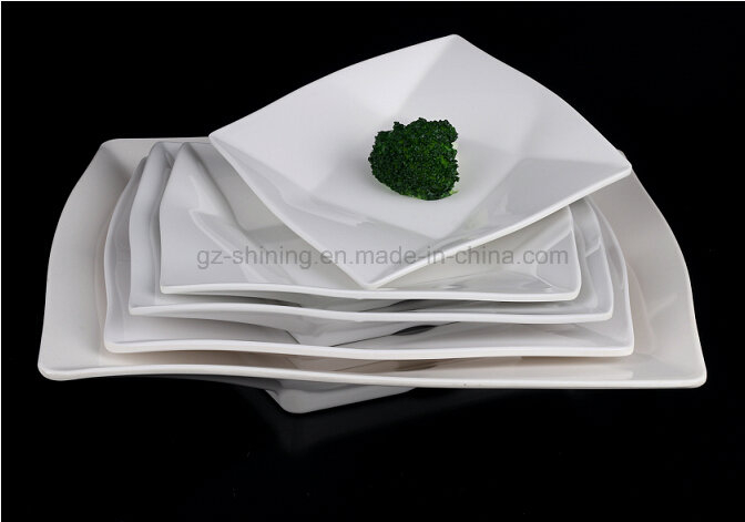 Dinner Dish with Melamine for Kitchenware (TP-6253)