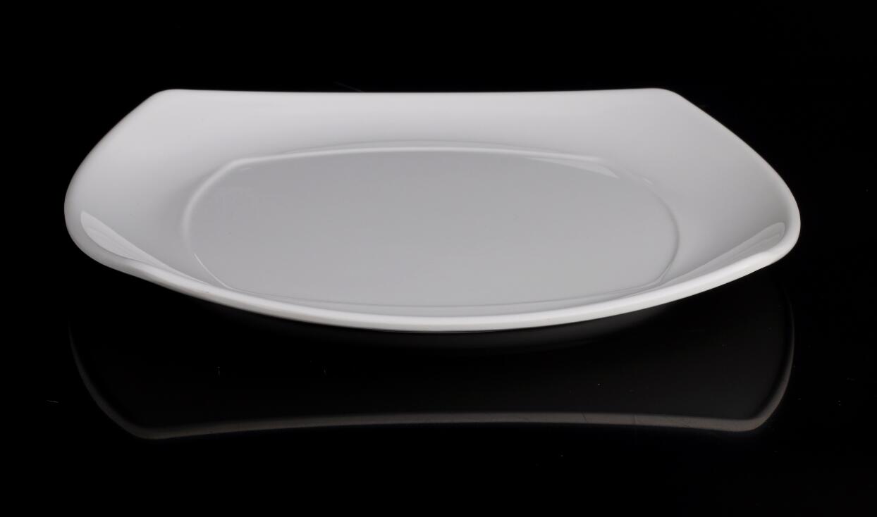 Melamine Dish Dinnerware with Good Quality From China (TP-3108)